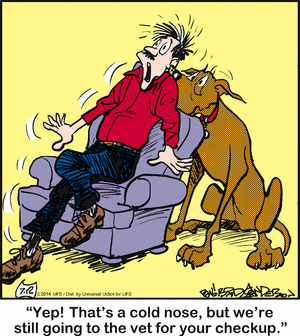 marmaduke